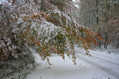 Killikus&reg; Fotographie